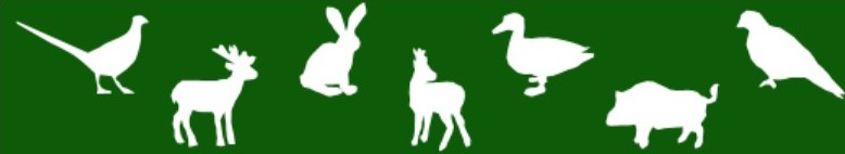 Silhouetten van verschillende dieren, waaronder vogels, konijn, hert en varken, op een groene achtergrond.